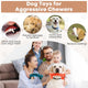 Infographic showing how chew toys prevent furniture damage, reduce barking, and clean teeth.