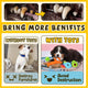 Comparison infographic showing how puppy chew toys prevent bored dogs from destroying furniture and help remove yellow plaque to maintain clean, healthy dog teeth.