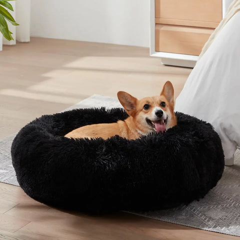 Happy Corgi dog lying inside a soft black calming donut dog bed