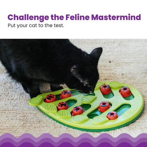 Black cat using its nose to solve a leaf-shaped treat puzzle toy to find hidden food.