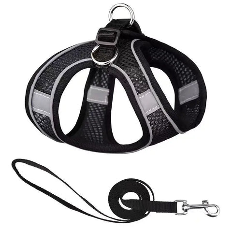 Black dog harness with reflective stripes and matching leash.