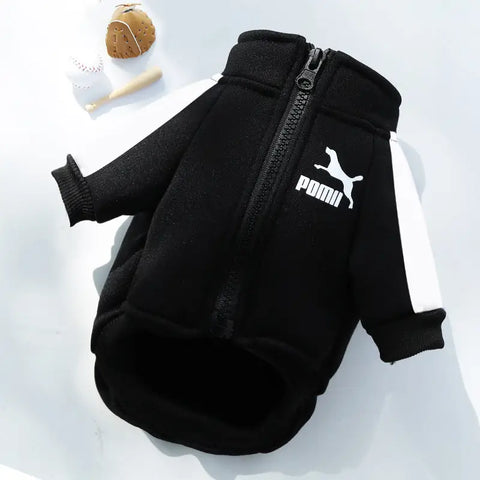 Black dog hoodie with Puma logo on light gray background.
