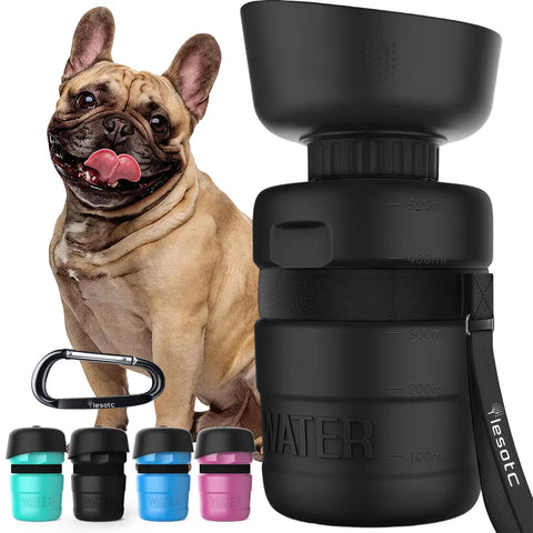 Black Lesotc 18oz portable dog water bottle next to a French Bulldog
