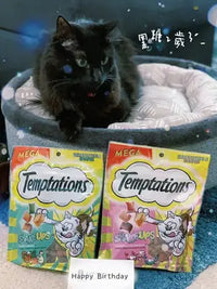 Customer lifestyle photo of a black Maine Coon mix in a pet bed with Temptations cat treats for a birthday.