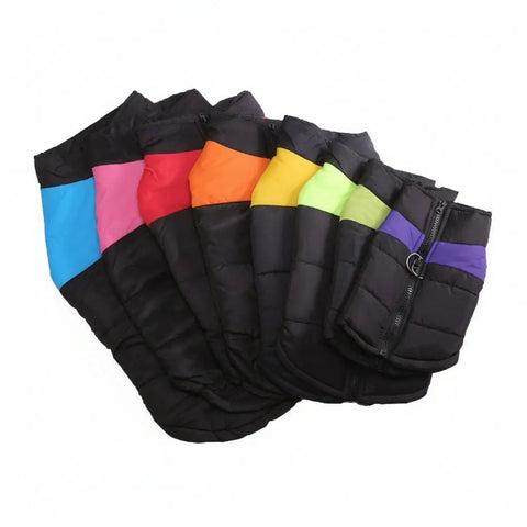 Black pet vests with colorful accents on white background.