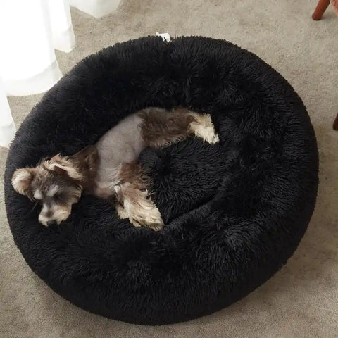 Overhead top view of a small dog sleeping peacefully inside a black plush round donut bed