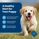 Golden Retriever puppy running with icons for DHA, muscle growth, and strong bone benefits