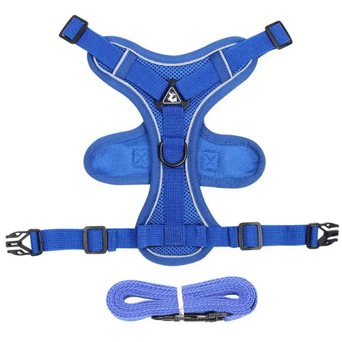 Blue cat harness and leash set with adjustable escape-proof design and soft padding