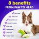 A Border Collie dog playing with a toy next to an infographic showing 8 health benefits including hip and joint, skin and coat, and immunity support.