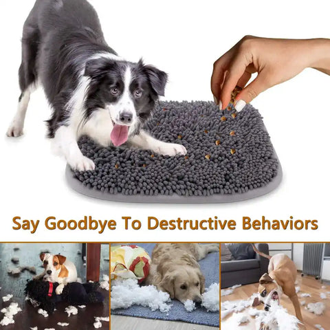 A Border Collie foraging for treats on a snuffle mat with small images below showing dogs exhibiting destructive behaviors