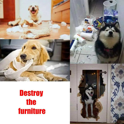 Collage showing destructive dog behaviors like chewing paper, ripping furniture, and damaging doors due to boredom.
