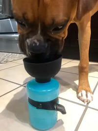 Boxer