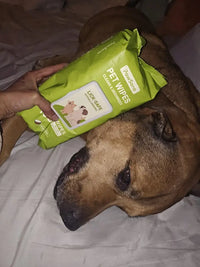 Brown Boxer Pitbull mix dog lying on white bedding with PawSono deodorizing pet wipes package resting on its back