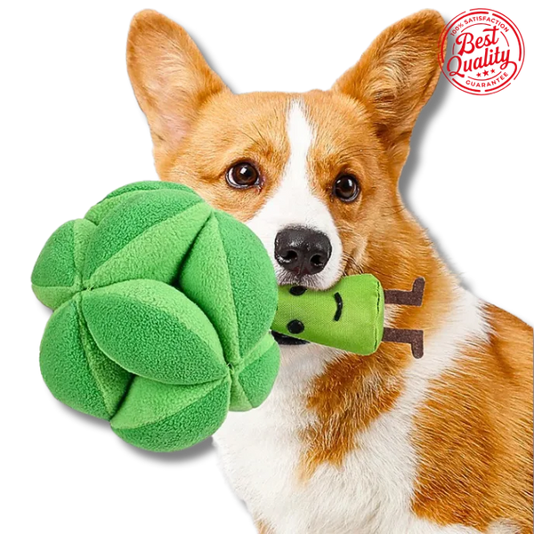 Dog holding a green broccoli-shaped plush toy with a 'Best Quality' badge