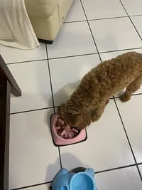 A curly brown Goldendoodle dog eating from a pink slow feeder bowl on a white tiled kitchen floor.