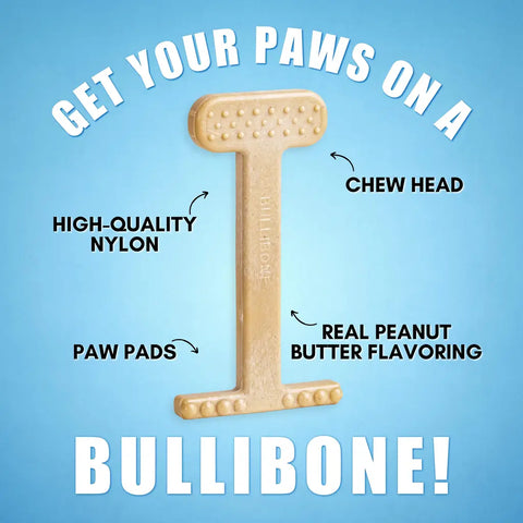 Diagram showing Bullibone features including high-quality nylon, chew head, and paw pads.