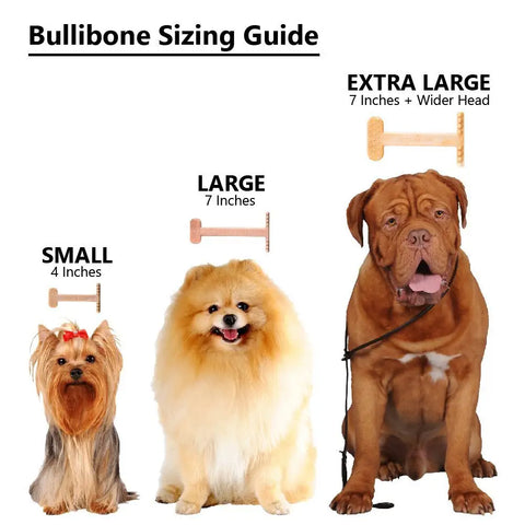 Bullibone sizing guide showing Small, Large, and Extra Large options next to different dog breeds.