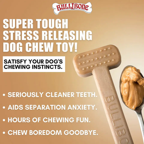 Bullibone super tough stress releasing dog chew toy with peanut butter flavor benefits.