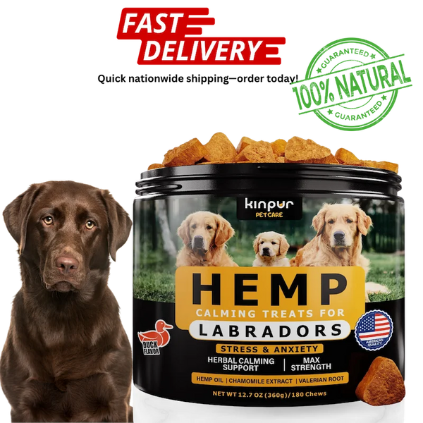 Hemp calming treats for Labradors with a dog and promotional text on a white background