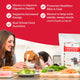 A happy beagle eating from a bowl next to a woman preparing fresh ingredients and a bag of Dr. Harvey's Canine Health pre-mix.
