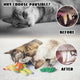 Before and after dental comparison of a cat's teeth showing plaque removal and cleaner teeth from chewing on Pawsible textured catnip toys.