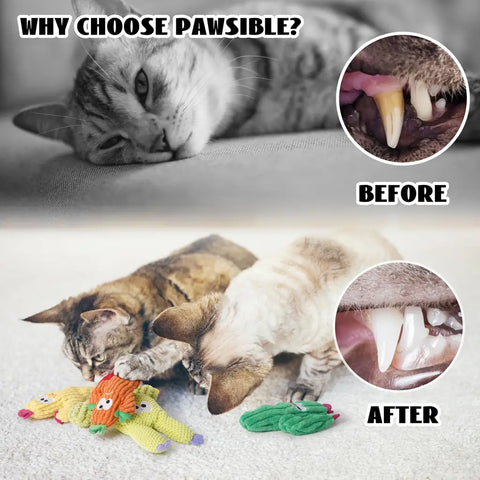 Before and after dental comparison of a cat's teeth showing plaque removal and cleaner teeth from chewing on Pawsible textured catnip toys.