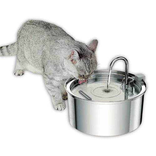 Cat drinking water from a stainless steel pet fountain.