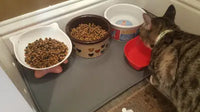 Tabby cat eating from multiple ceramic and plastic food bowls arranged on a gray, non-slip silicone pet food mat.