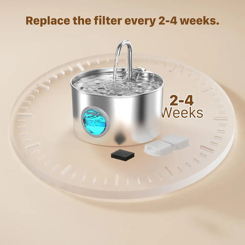 Stainless steel automatic cat water dispenser on a clock graphic indicating a 2 to 4 week filter replacement cycle.