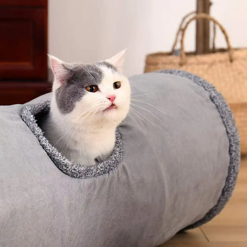 Cat inside a gray pet bed with a neutral background.