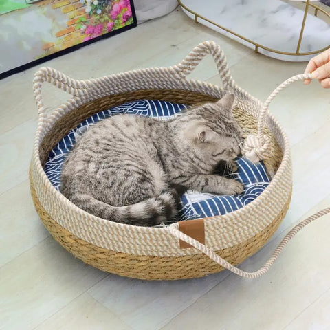 Cat lying in a woven pet bed with striped cushion on a light wooden floor.