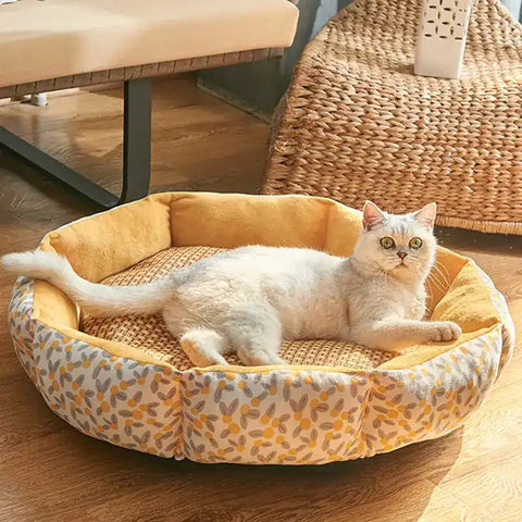 Cat lying on a patterned pet bed in a home setting.