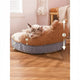 Cat lying on a pet bed with measurements specified.