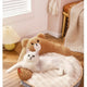 Cat lying on fluffy pet bed shaped like a bear with text.