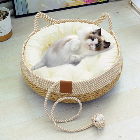 Cat lying on round cat bed with rope handles and ball toy.