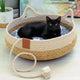 Cat lying on woven pet bed with rope toy next to it.