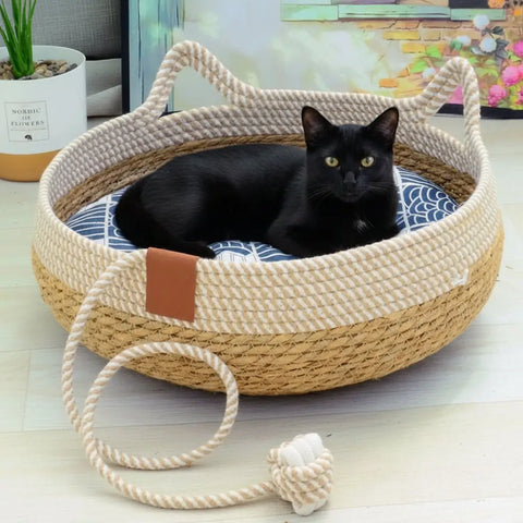 Cat lying on woven pet bed with rope toy next to it.