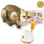 Cat playing with a toy, with a 'Premium Quality' badge in the corner
