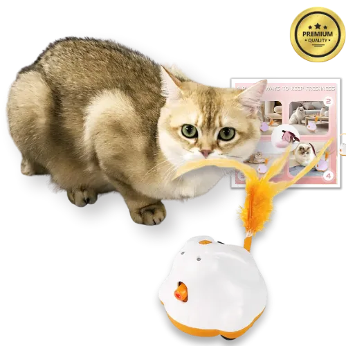 Cat playing with a toy, with a 'Premium Quality' badge in the corner