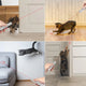 Collage showing cats interacting and chasing red laser light projections on floors and walls