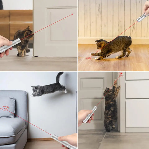 Collage showing cats interacting and chasing red laser light projections on floors and walls