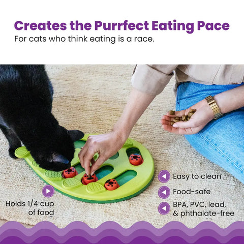 Person filling a ladybug cat slow feeder with dry food to promote healthy eating habits.