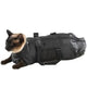 Cat wearing a black grooming bag vest on white background.