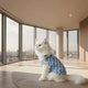 Cat wearing a fluffy blue sweater on a light background.