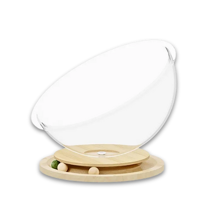 cat Glass bed with wooden base on a white background