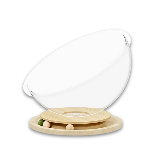 cat Glass bed with wooden base on a white background