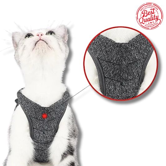 cat Leash black best quality