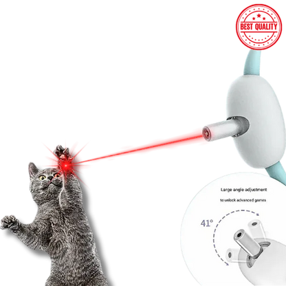 cat playing with laser