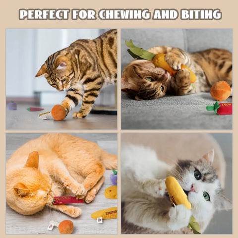 Collage of four different cats playing, kicking, and biting durable Pawsible vegetable and fish-shaped plush catnip toys.