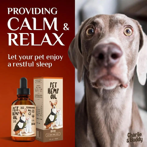 Charlie & Buddy Pet Hemp Oil promotional image on a red backdrop, featuring a dog and text about anxiety and mobility relief.